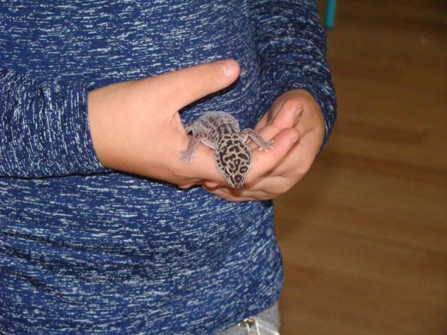 DSC00966a 9